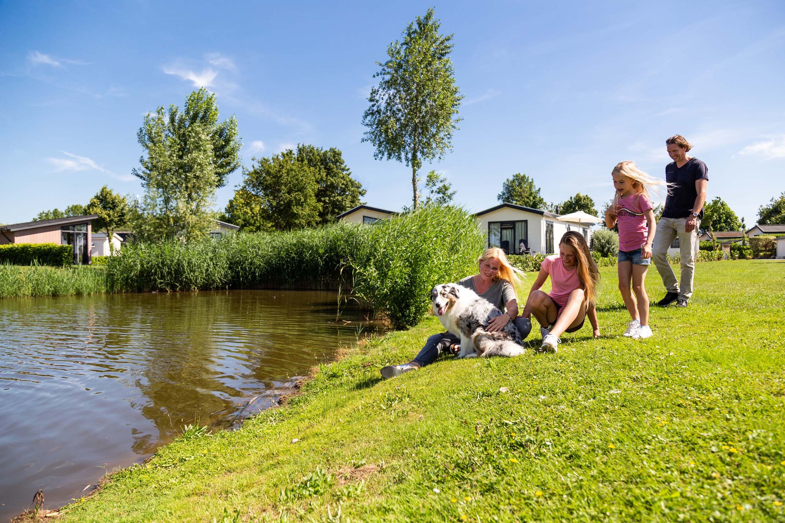 Recreatiepark het Esmeer - Huisdier - Hond - 3