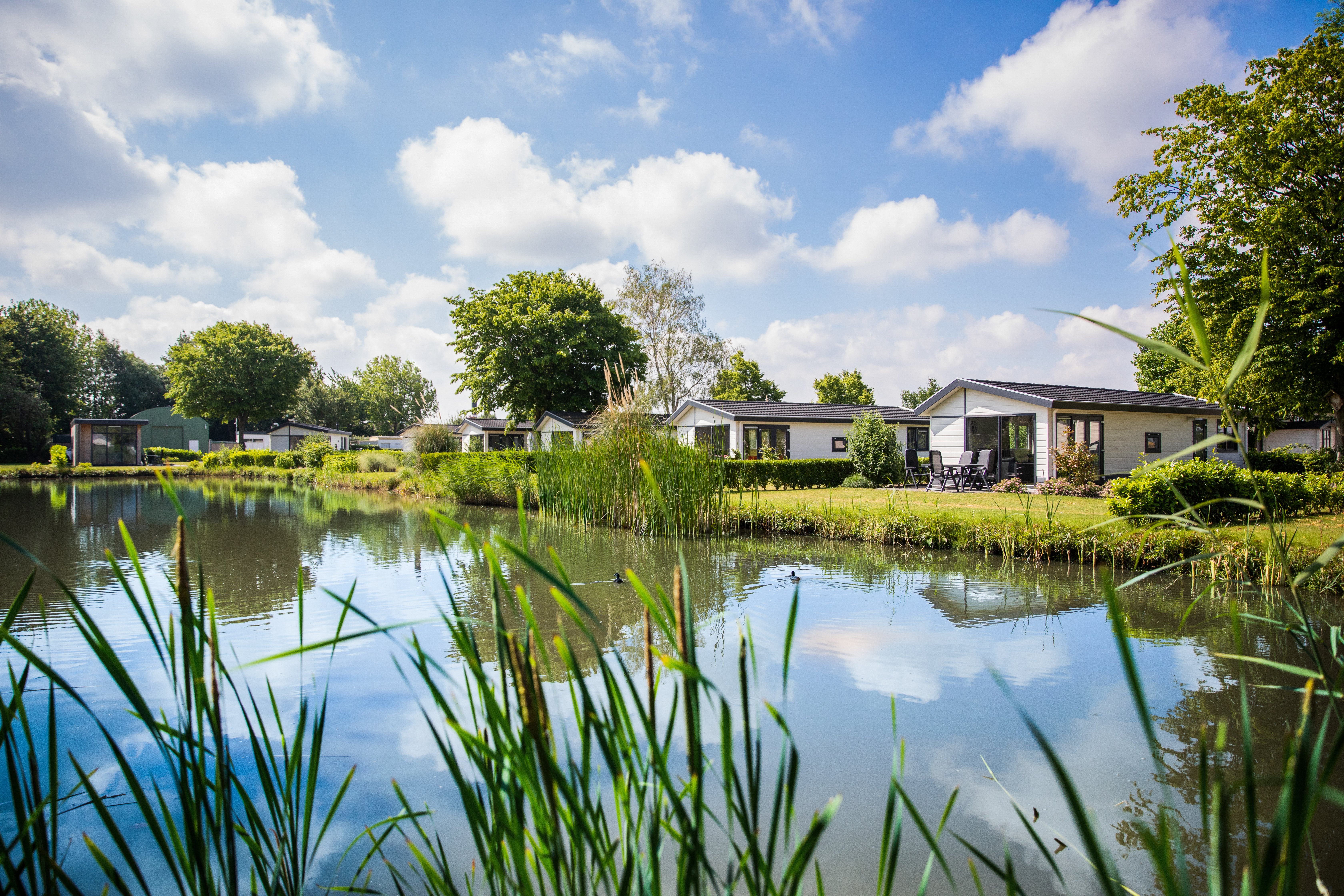 Recreatiepark het Esmeer - Vakantiewoningen aan het water - 2