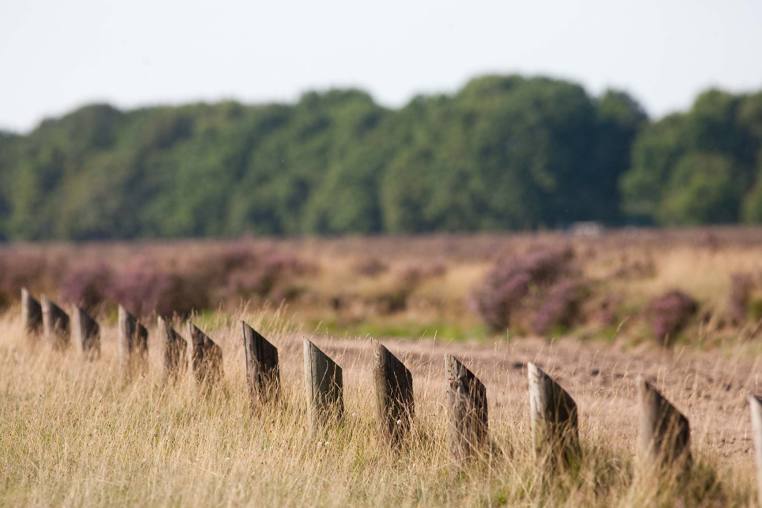 Veluwe most popular vacation location at home!