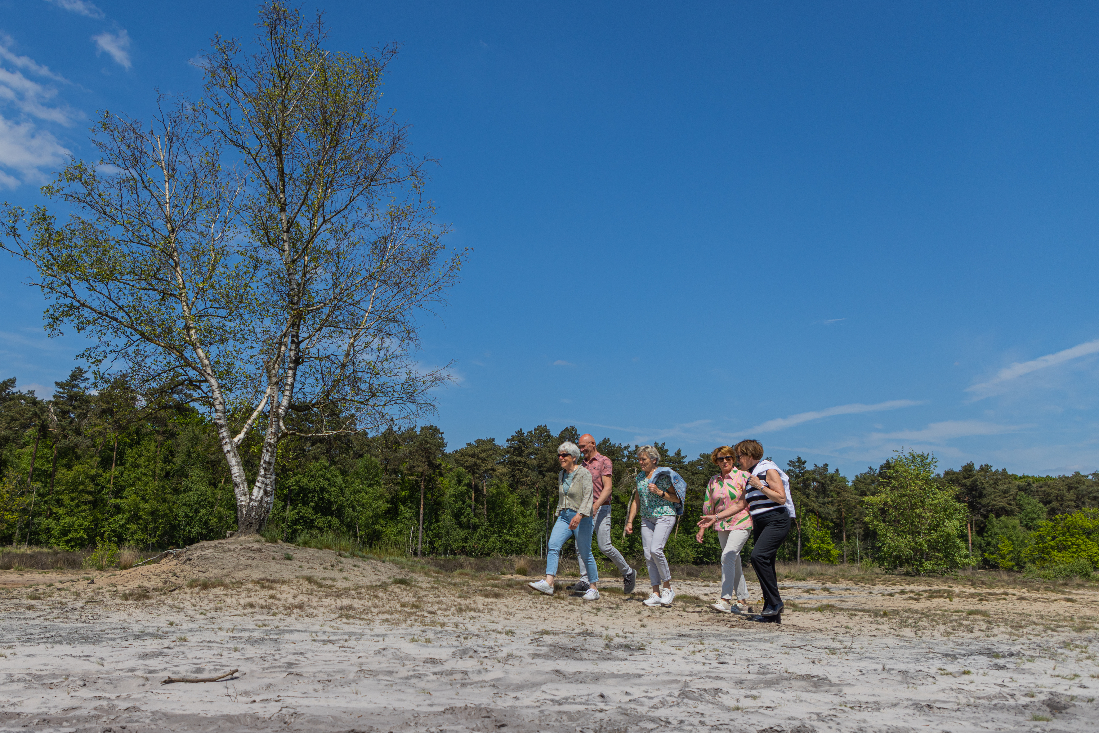 Second vacation park in North Brabant acquired by TopParken