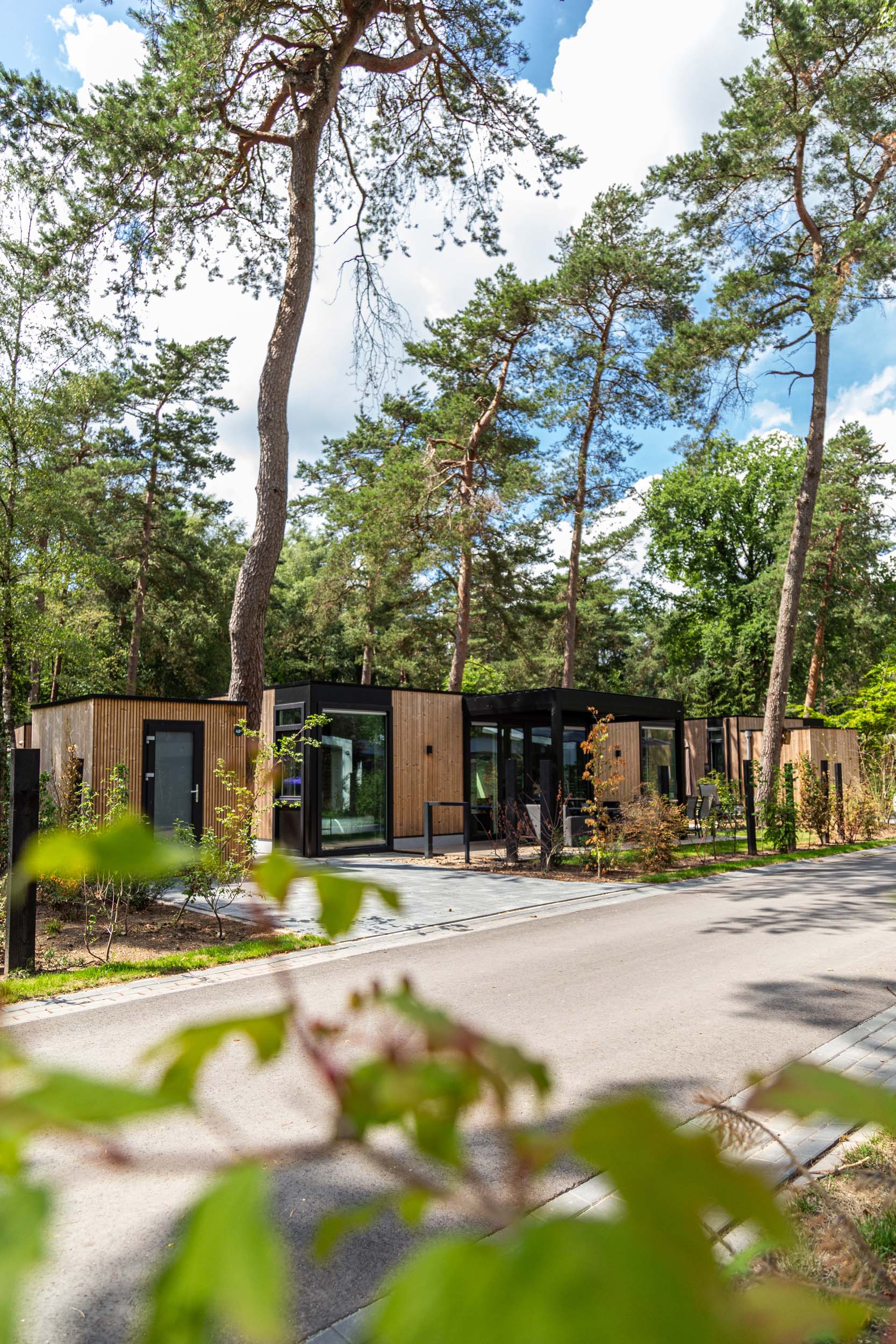 Within a year last vacation homes at Resort Veluwe on sale