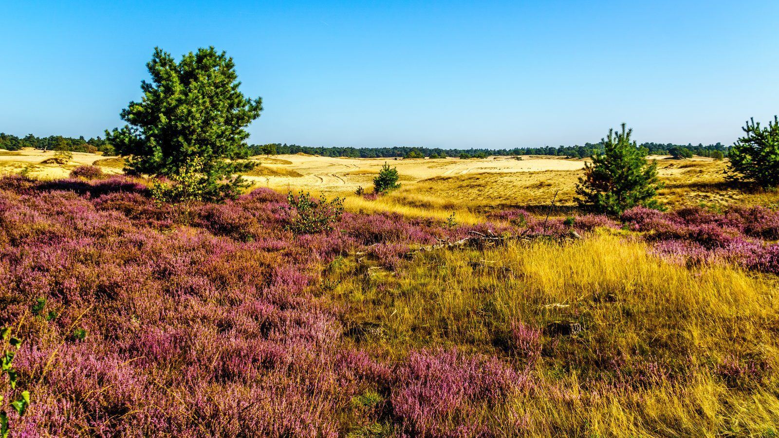 Gelderland most popular province among tourists